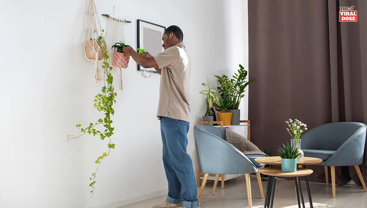 Elevate Your Lifestyle with Stylish Wall Hangings & Decor Ideas!